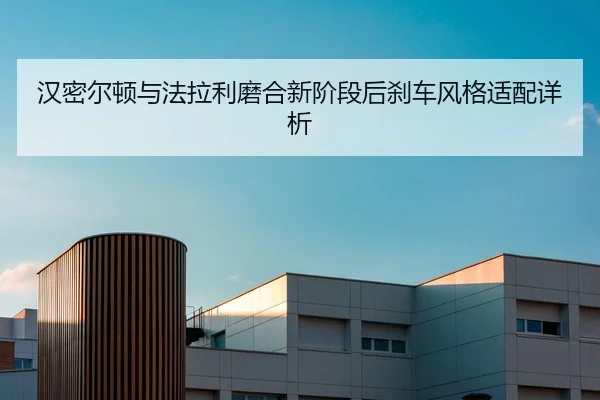 han-mi-er-dun-yu-fa-la-li-mo-he-xin-jie-duan-hou-sha-che-feng-ge-shi-pei-xiang-xi-2-357.jpg